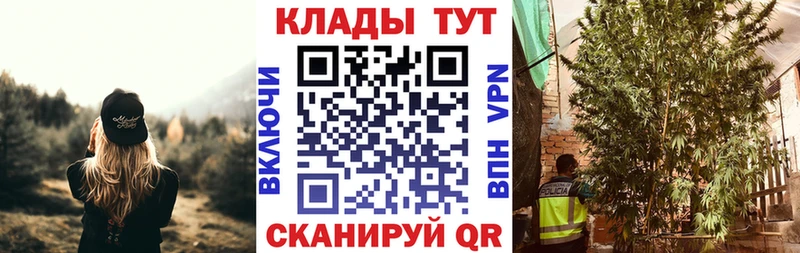 Где купить наркоту Новороссийск ГАШ  Бошки Шишки  СК  Меф мяу мяу 