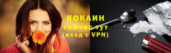прущие крисы Богданович