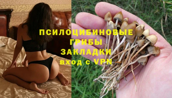 каннабис Бородино