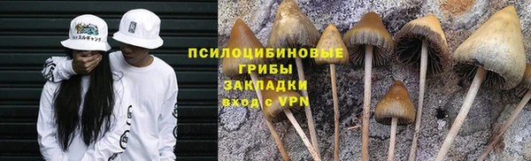 сатива Бугульма