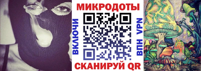 купить наркотики цена  Новороссийск  Галлюциногенные грибы GOLDEN TEACHER 
