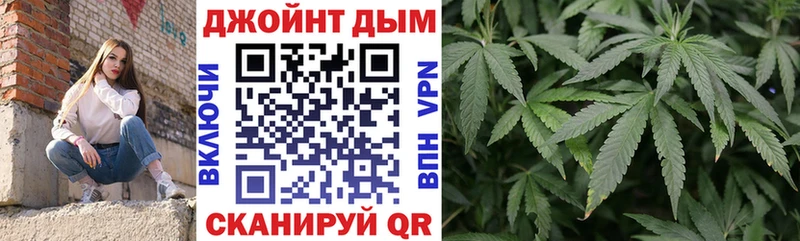 MEGA ссылка  как найти закладки  Новороссийск  Марихуана гибрид 